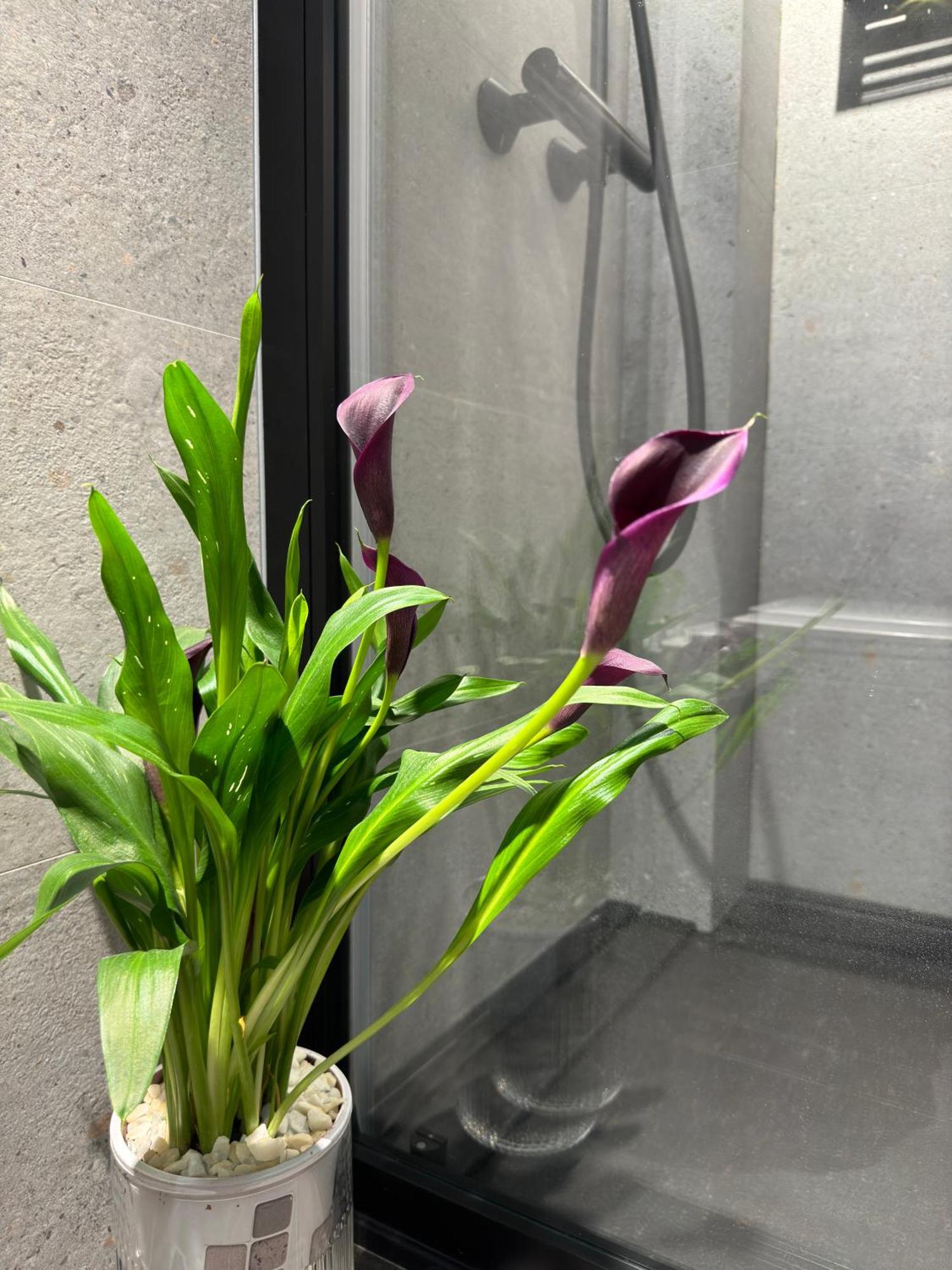 Luxury Apartment Y After Renovation In Cullera With Parking 外观 照片